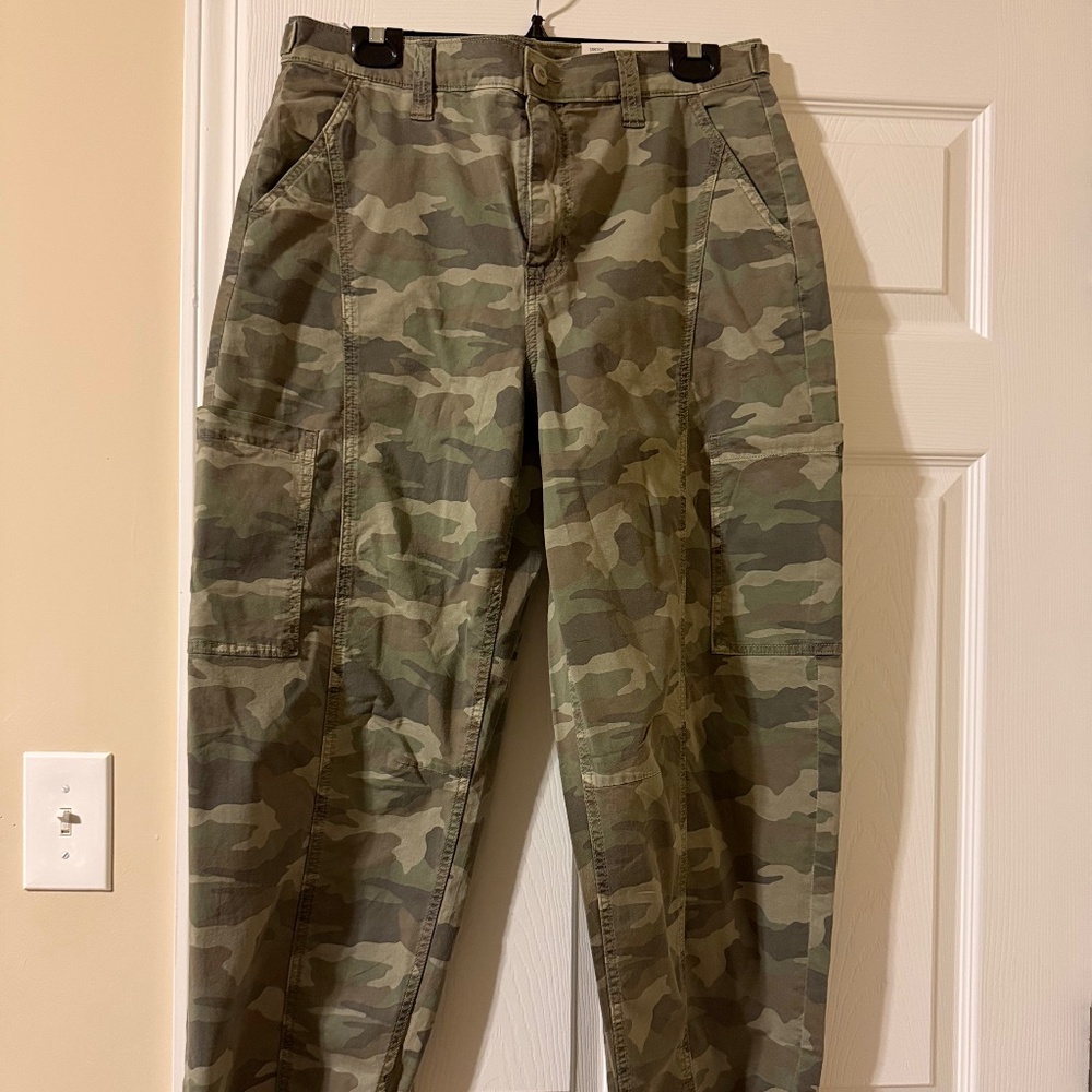 AE Barrel Camo Pants